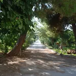 Terrauzza Sul Mare Di Renata Emmolo